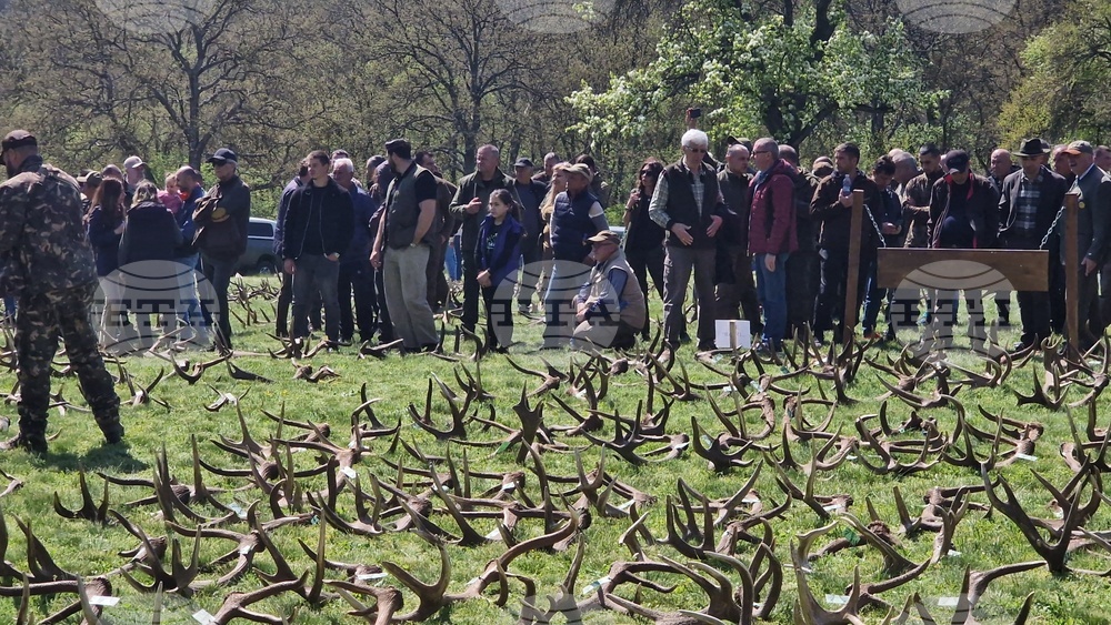 Разград - Държавно ловно стопанство „Воден - Ири Хисар“ - изложение на рога