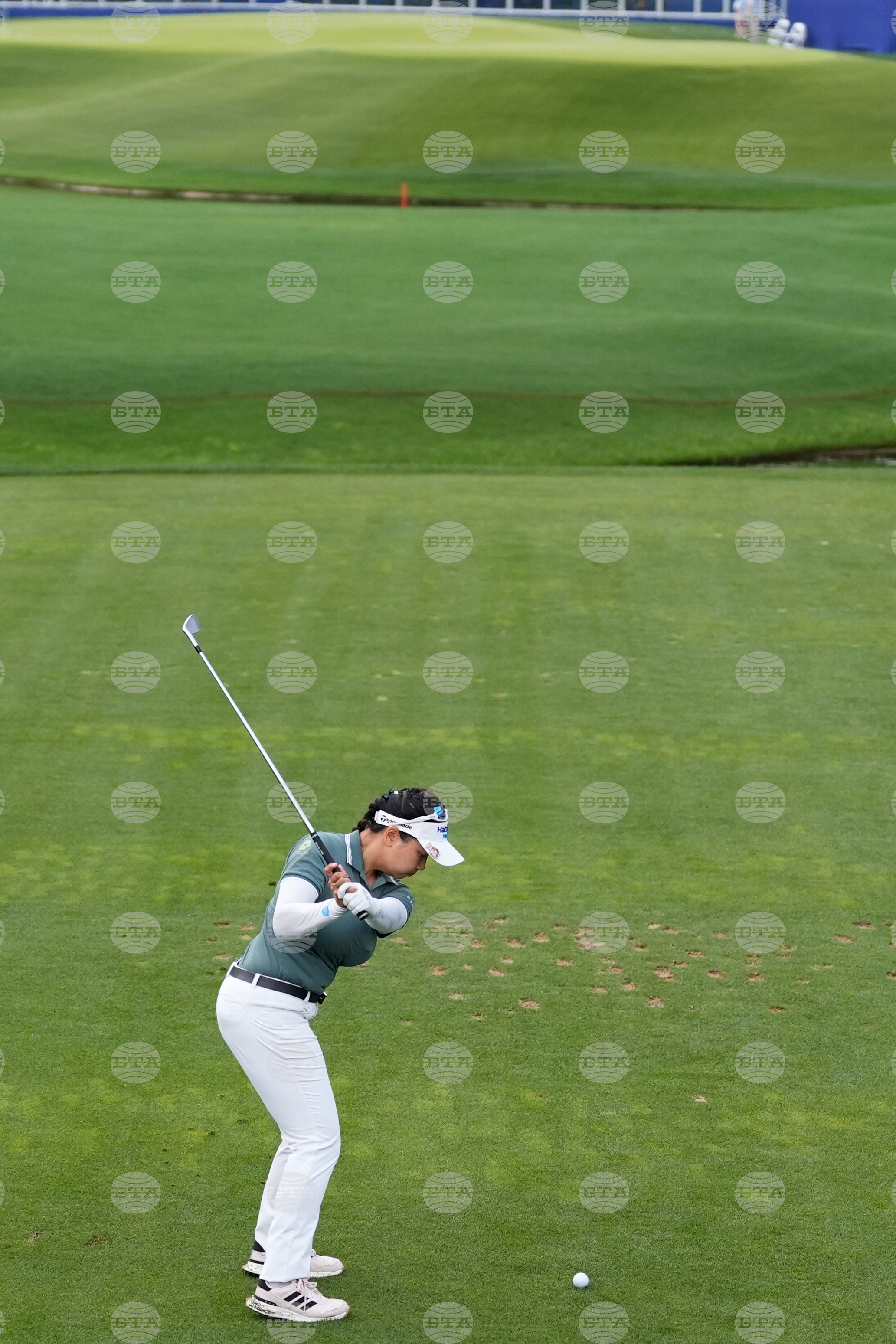 LPGA Tour Golf