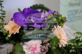 Бургас - „Ландшафтен архитект на годината 2025" - конкурс - награждаване