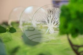 Бургас - „Ландшафтен архитект на годината 2025" - конкурс - награждаване