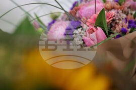 Бургас - „Ландшафтен архитект на годината 2025" - конкурс - награждаване