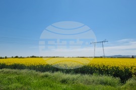 Сливен - земеделски площи - рапица