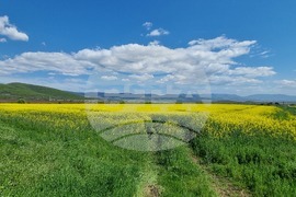 Сливен - земеделски площи - рапица