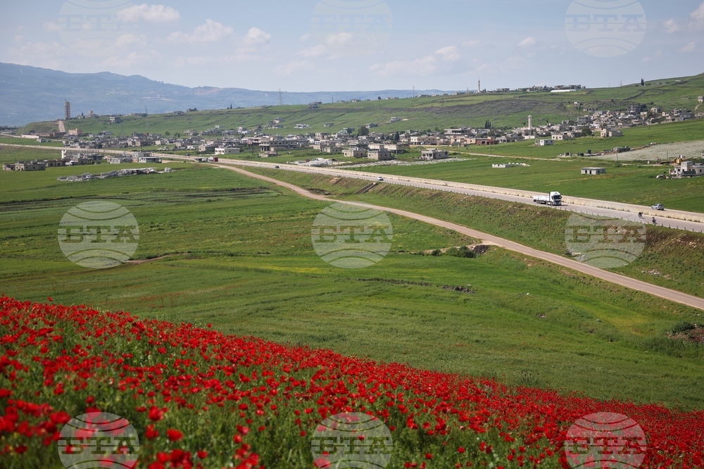 Syria Spring