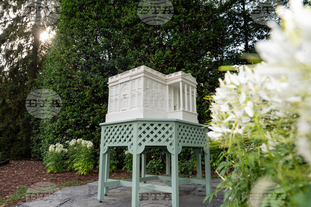 Trump Bee Hive