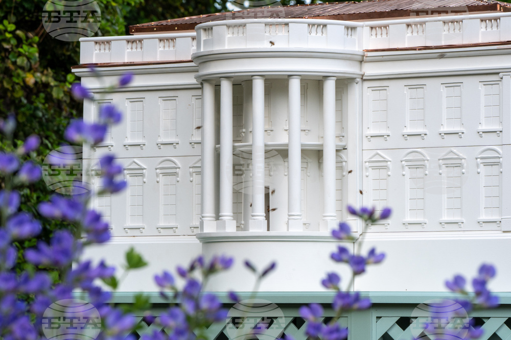 Trump Bee Hive