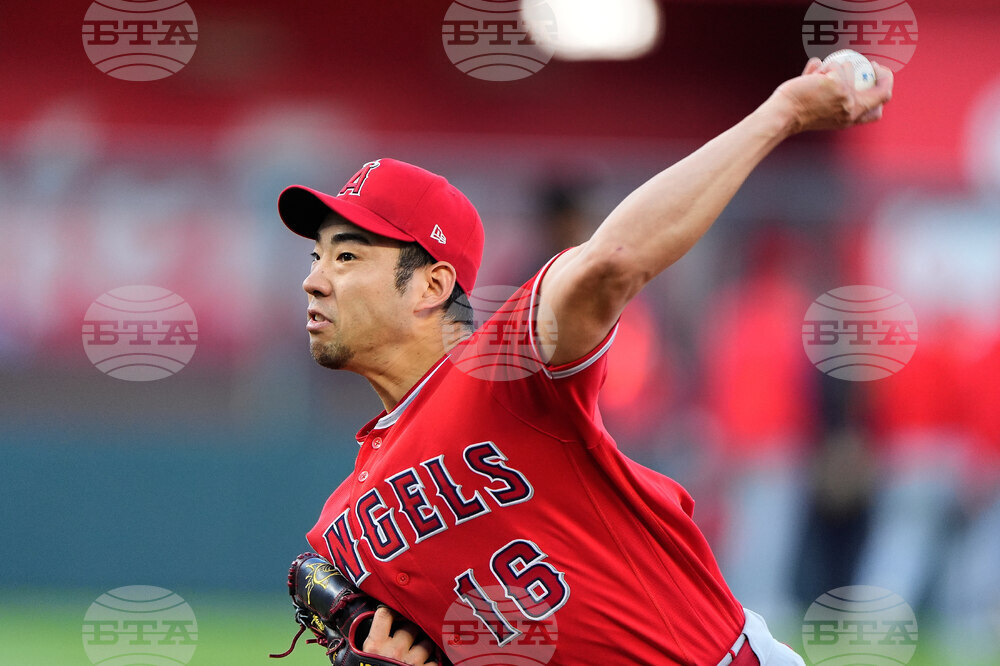 Angels Royals Baseball