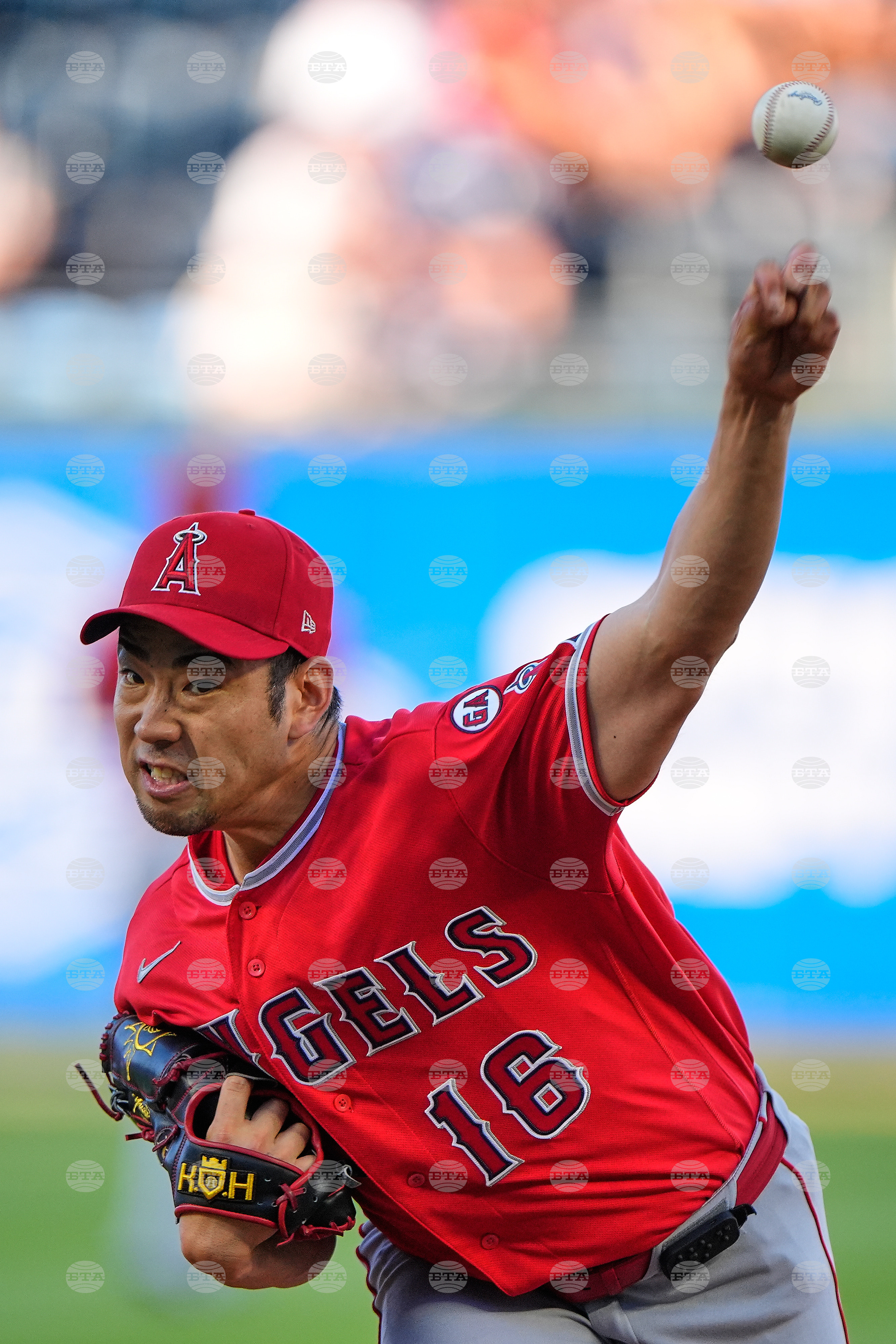 Angels Royals Baseball