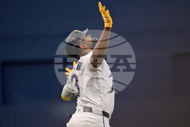 Twins Rays Baseball