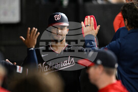 Nationals White Sox Baseball