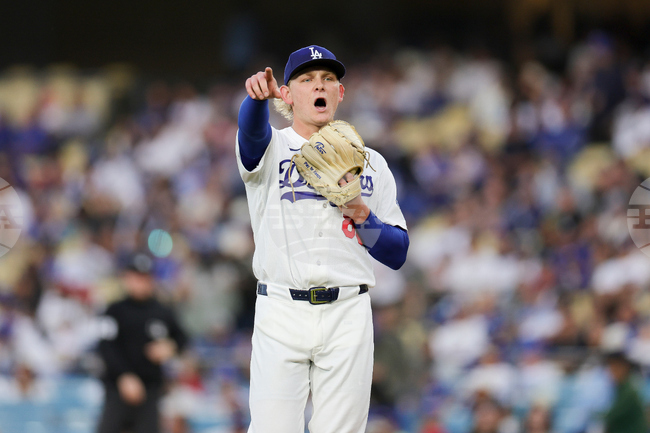 Cubs Dodgers Baseball