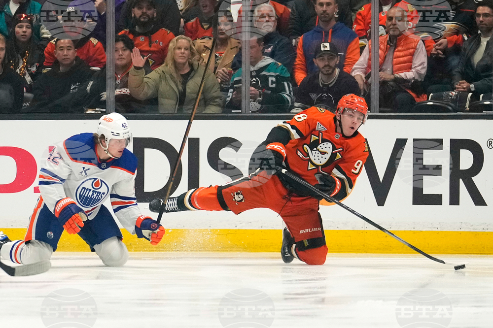 Oilers Ducks Hockey