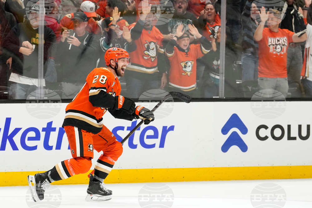 Oilers Ducks Hockey