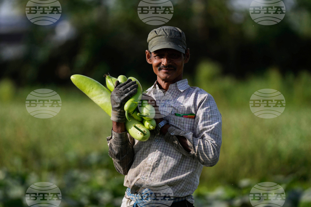 India Agriculture