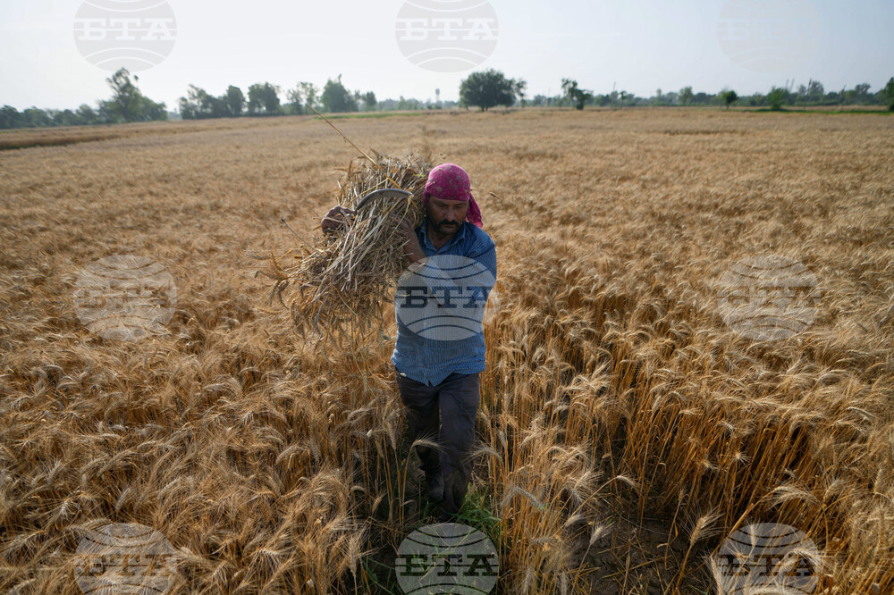 India Agriculture