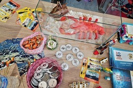 Бургас - Фестивал на роботиката First Lego League Challenge - откриване