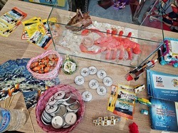 Бургас - Фестивал на роботиката First Lego League Challenge - откриване