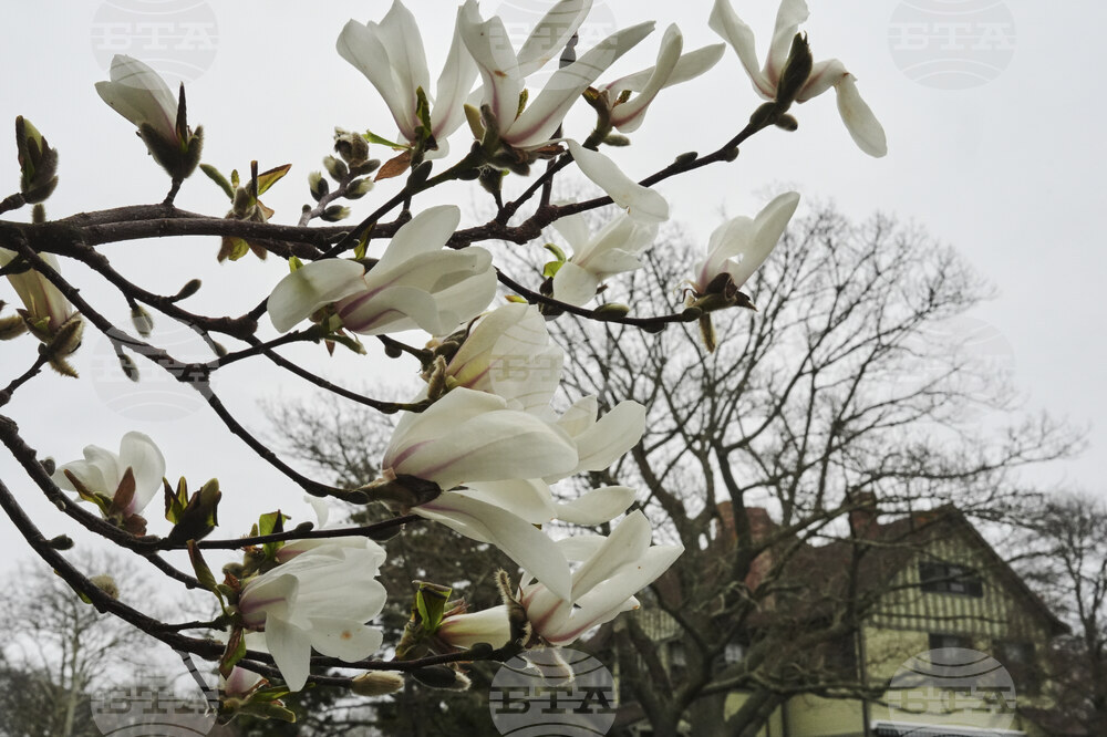 Climate Tree Equity