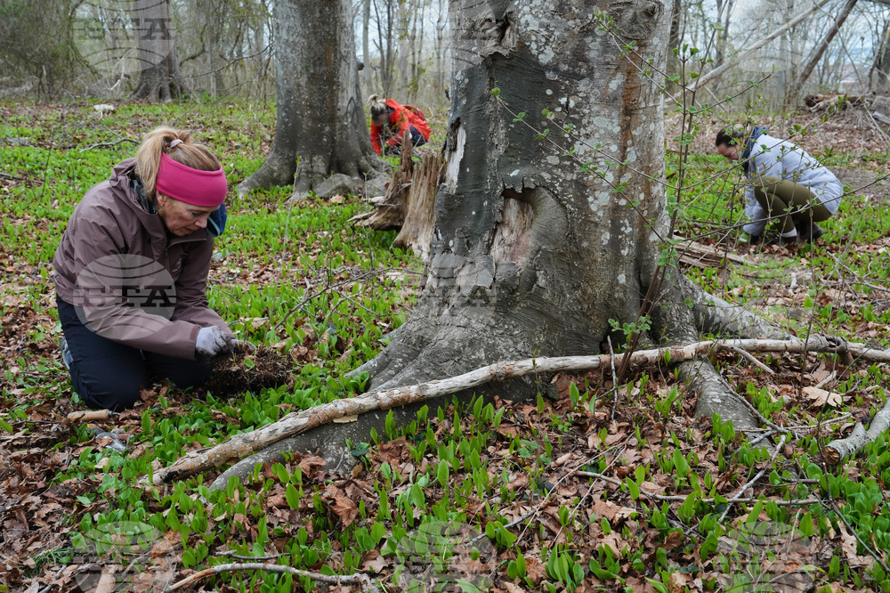 Climate Tree Equity