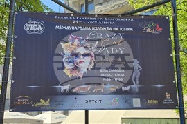 Благоевград - международна изложба на котки