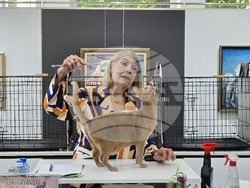 Благоевград - международна изложба на котки