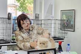 Благоевград - международна изложба на котки