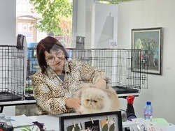 Благоевград - международна изложба на котки