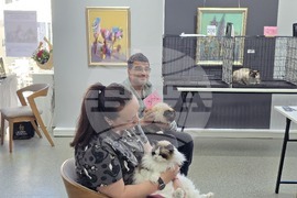 Благоевград - международна изложба на котки