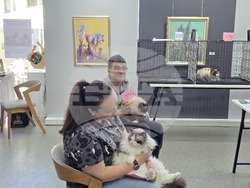 Благоевград - международна изложба на котки