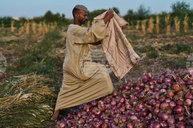 Sudan Daily Life