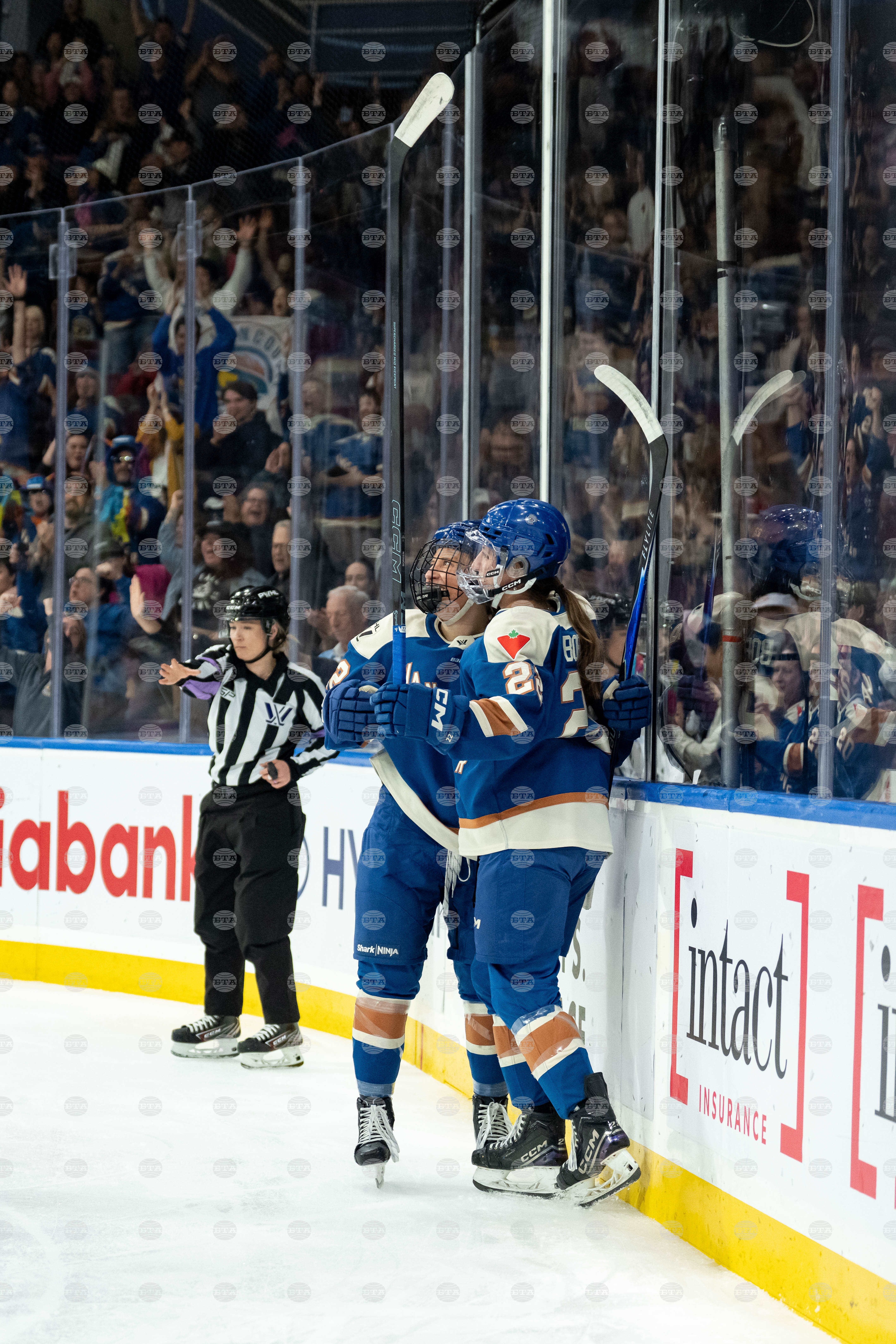 PWHL Frost Goldeneyes Hockey