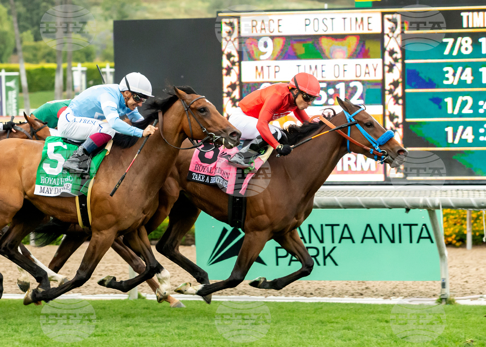 Santa Anita Horse Racing