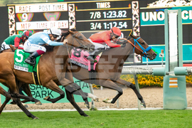 Santa Anita Horse Racing