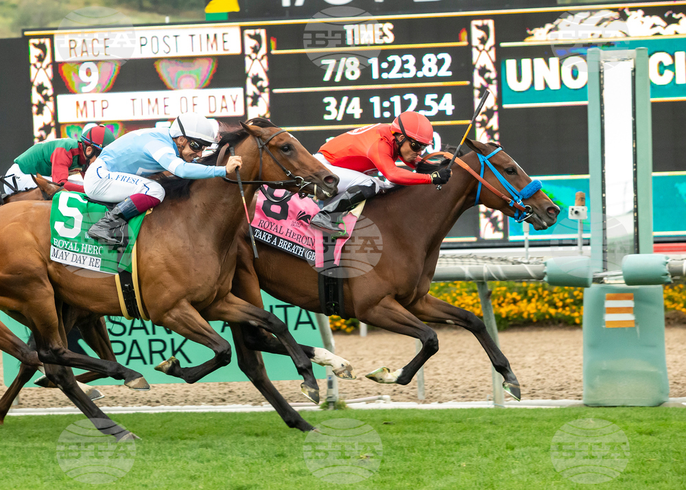 Santa Anita Horse Racing