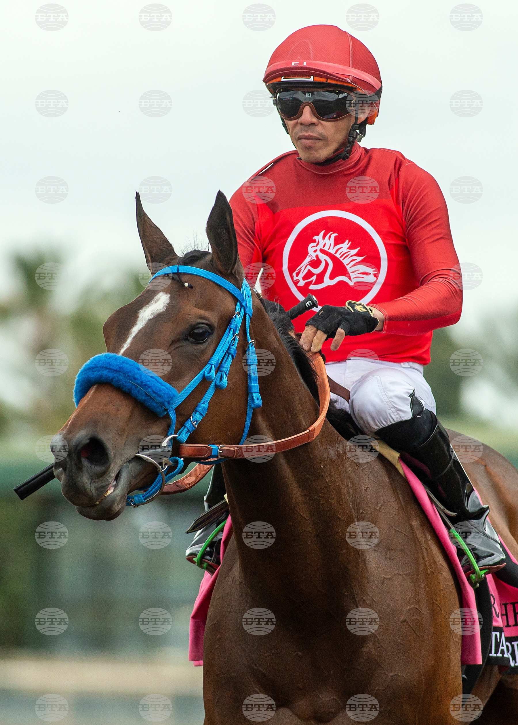 Santa Anita Horse Racing