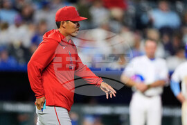 Angels Royals Baseball