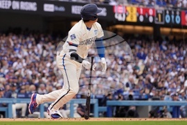 Cubs Dodgers Baseball