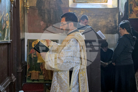 Дунавци - Видински митрополит Пахомий - литургия