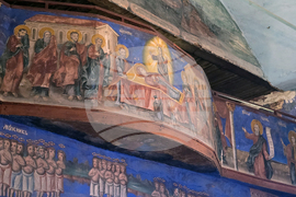 Дунавци - Видински митрополит Пахомий - литургия