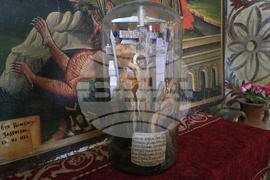 Дунавци - Видински митрополит Пахомий - литургия