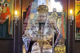 Дунавци - Видински митрополит Пахомий - литургия