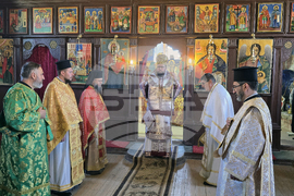 Дунавци - Видински митрополит Пахомий - литургия