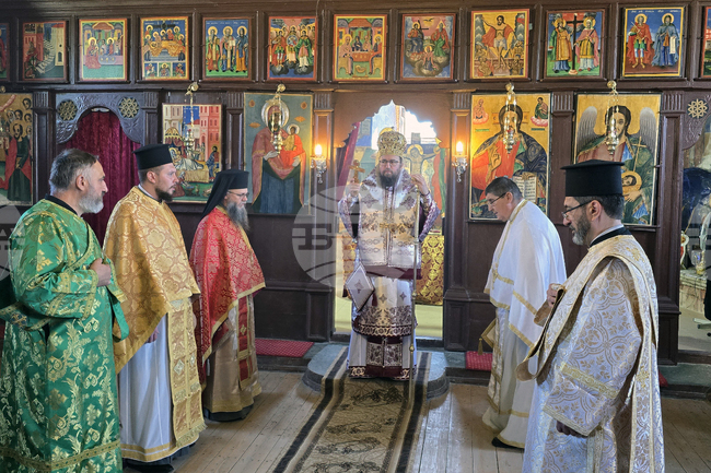 Дунавци - Видински митрополит Пахомий - литургия