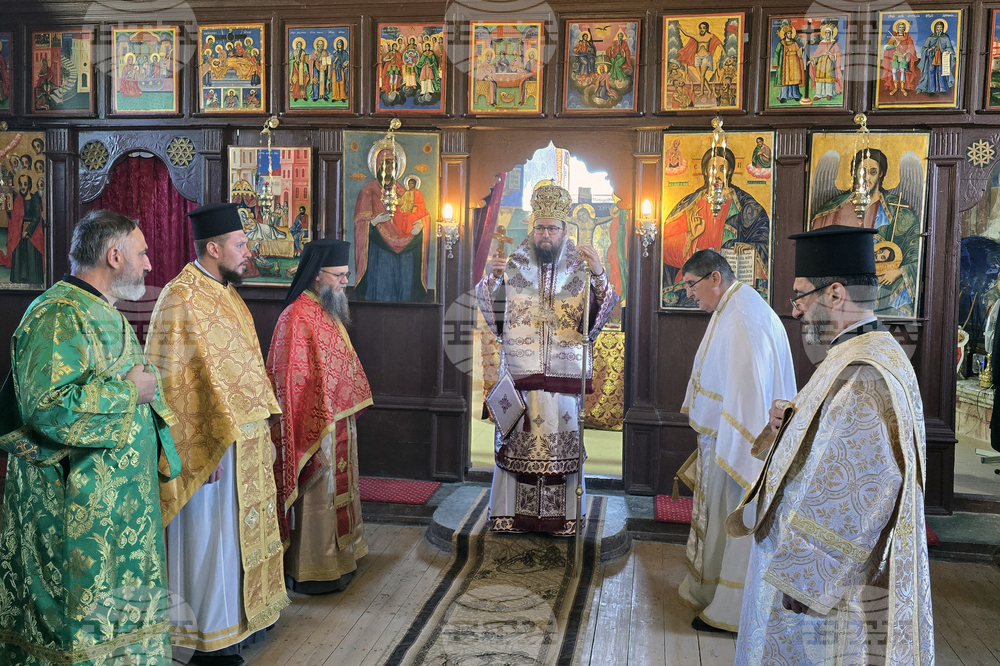 Дунавци - Видински митрополит Пахомий - литургия