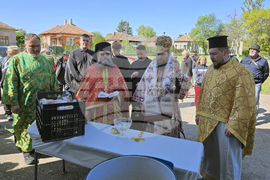 Дунавци - Видински митрополит Пахомий - литургия