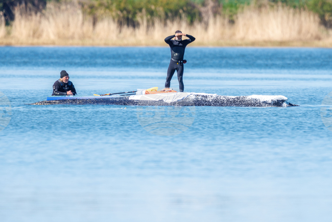 Germany Whale Rescue