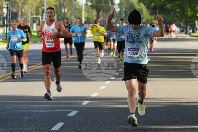 Argentina Venezuela Gallo