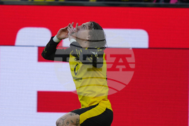 Germany Bundesliga Soccer