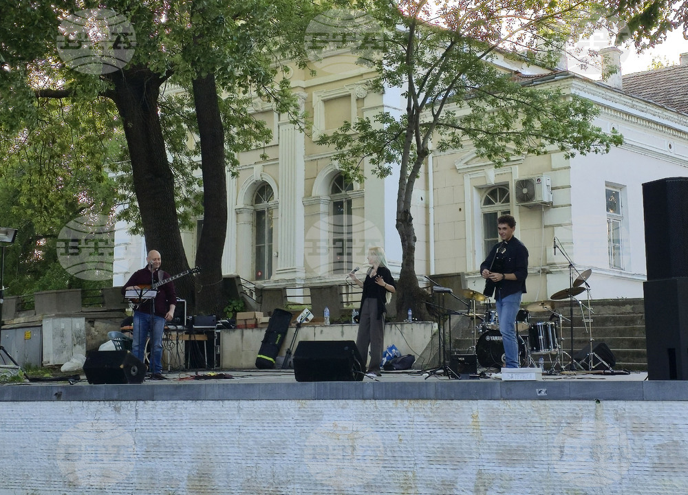 Видин - фестивал - благотворителен базар