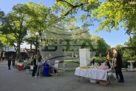 Видин - фестивал - благотворителен базар